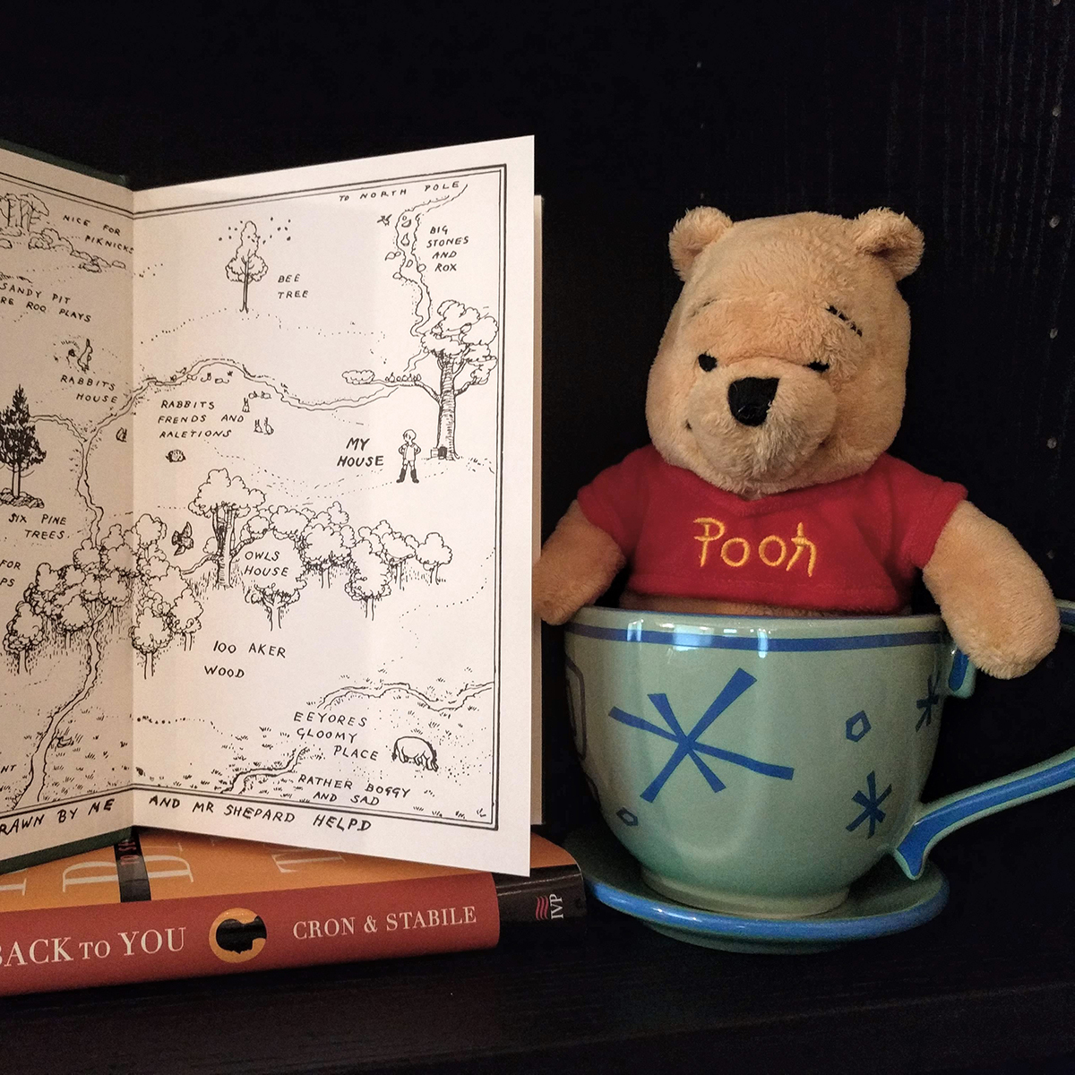 S1E1: A Visit to the Hundred Acre Wood